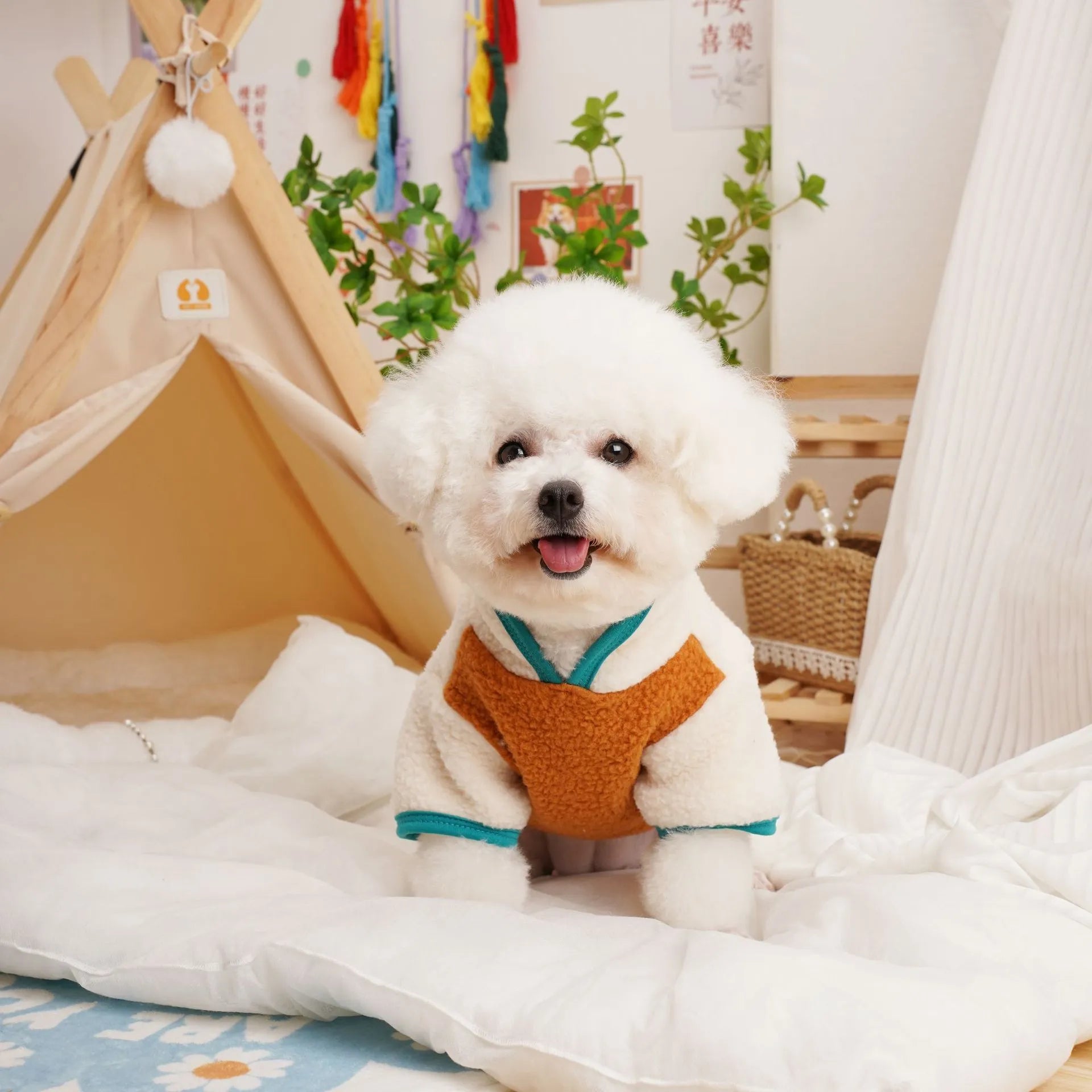 Lambswool pet fleece sweatshirt in caramel colour showing casual design for autumn and winter wear