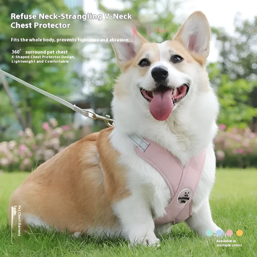 Blue polyester dog harness vest with an attached hand-holding rope on a medium-sized dog.