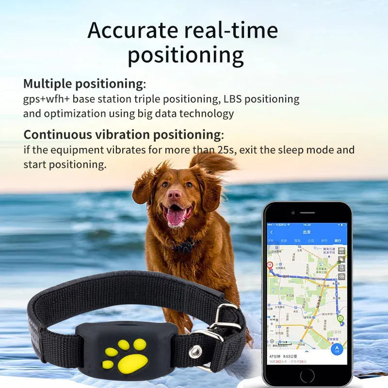 Black waterproof GPS pet tracker device showing dimensions next to a dog collar.