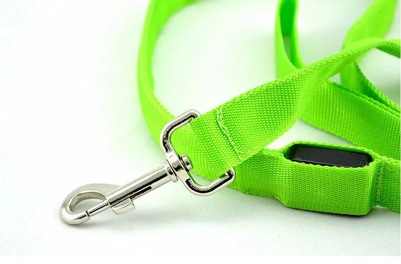 Glowing LED dog leash on nylon webbing 120cm with blue light visible in the dark