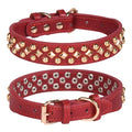 Rivet leather dog collar with golden rivet decoration in retro style, shown in black colour on a plain background
