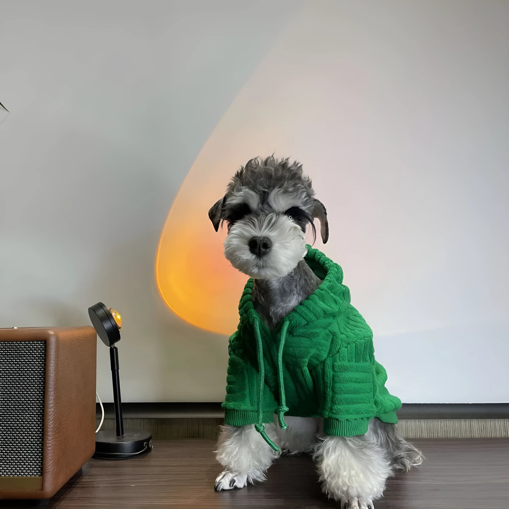 Green hooded polyester sweater for small dogs and cats, sizes S to XXL