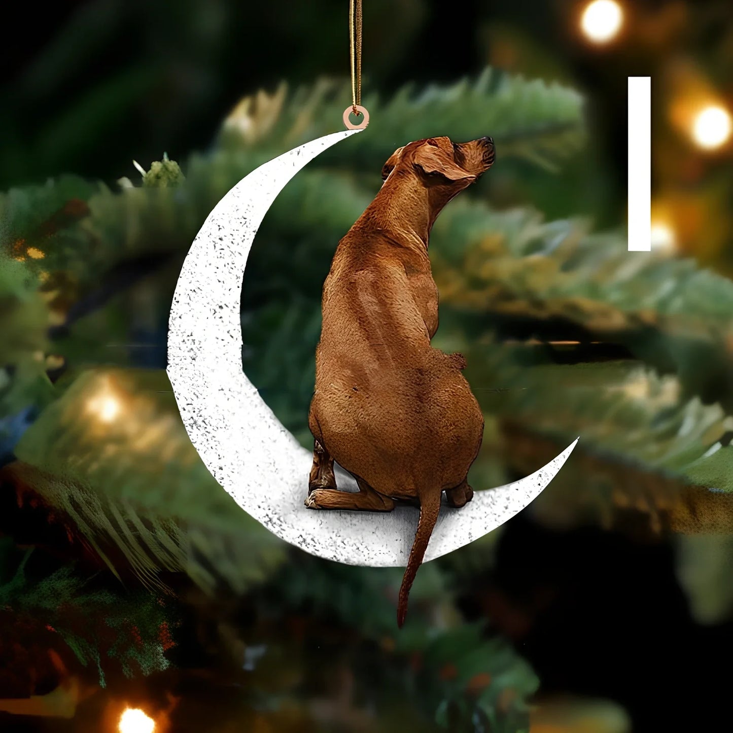 8.5cm acrylic hanging ornament with dog design in picture colour, style A labrador on clear background