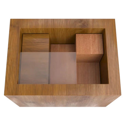 Einstein Lock Wooden Puzzle - Solid Wood Brain Teaser