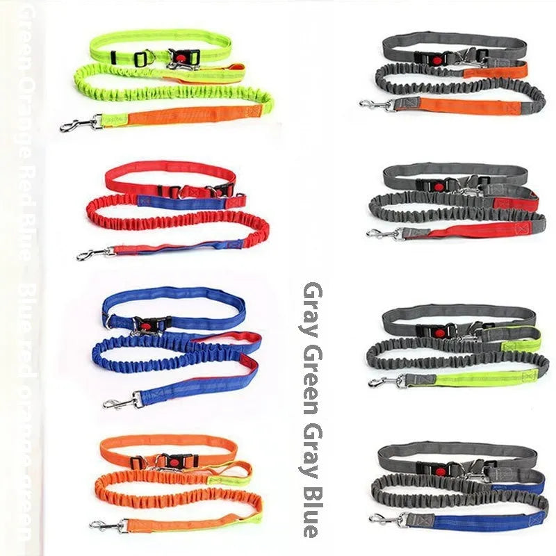 Grey and green reflective elastic dog leash for outdoor running, showing 2.5cm wide nylon construction.