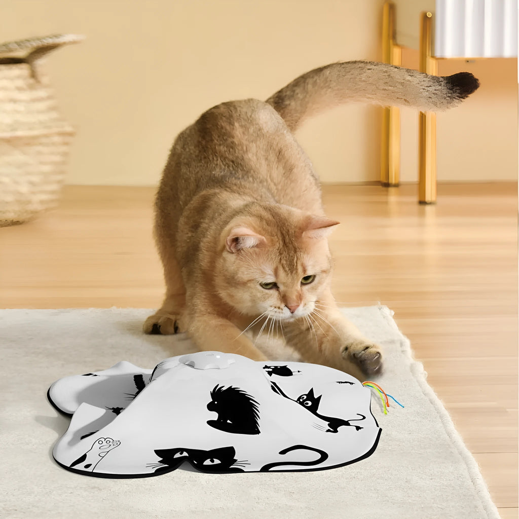 Automatic self-play cat toy teaser with laser pointer in picture colour