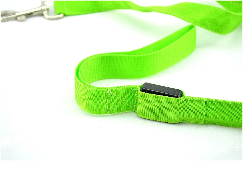Glowing LED dog leash on nylon webbing 120cm with blue light visible in the dark