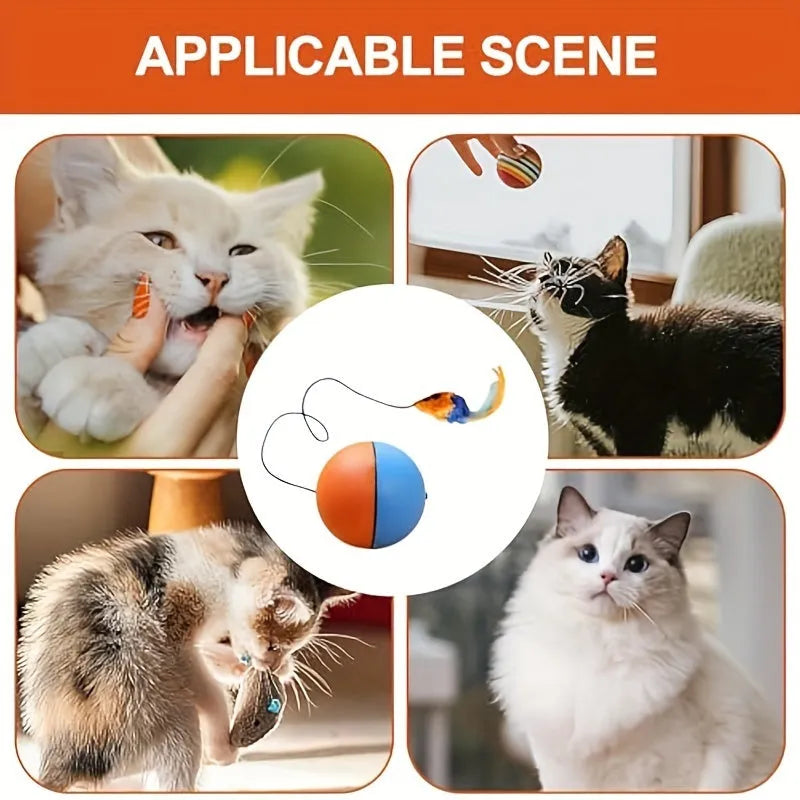 Blue and orange interactive cat toy set with plush mouse and ball for indoor exercise