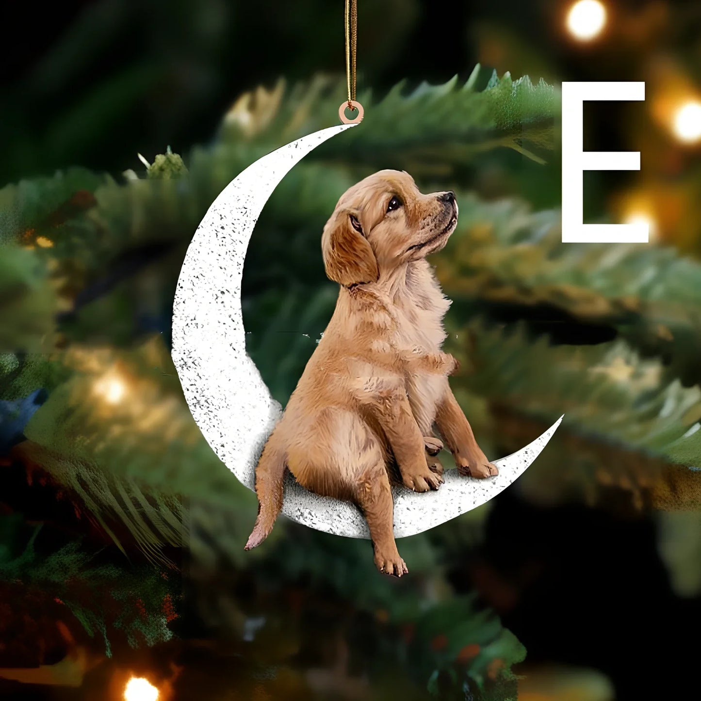 8.5cm acrylic hanging ornament with dog design in picture colour, style A labrador on clear background