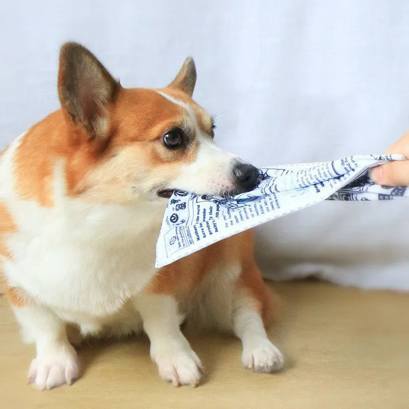 Tearproof pet dog toy with simulated squeaking newspaper playing cards for interactive play