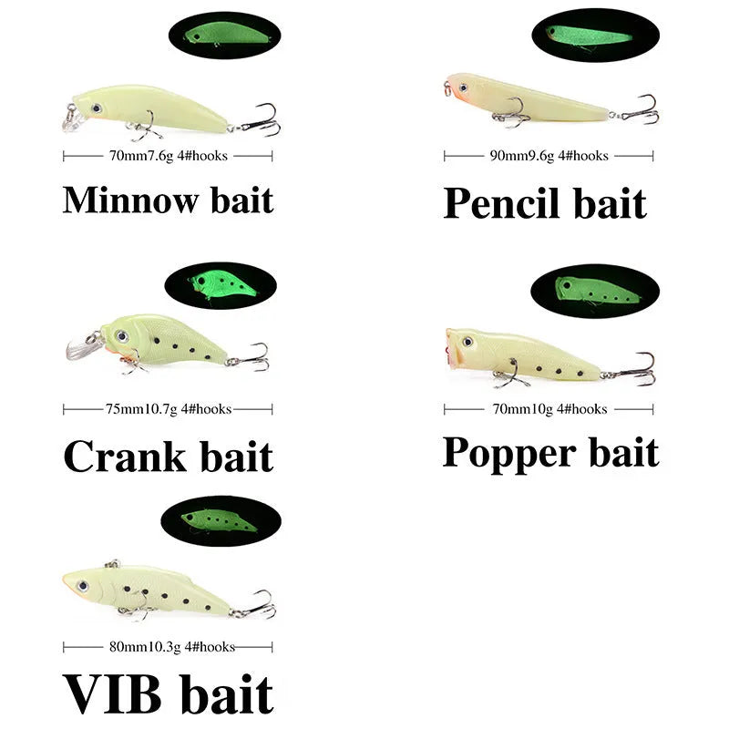 Set of five 3D fluorescent simulation luminous hard bait fishing lures