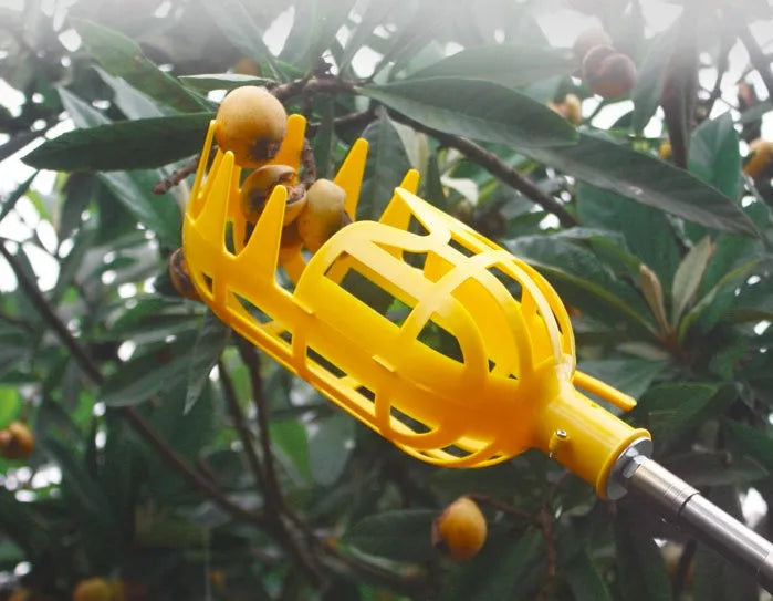 Silver metal fruit picker with serrated ring and cotton bag resting against an orchard tree