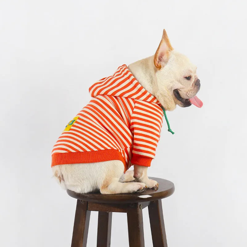 Orange cotton dog hooded sweater with Jarre Aero Bull Pug style on a mannequin.