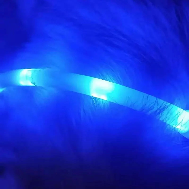 LED Pet Light Collar for Dogs in Blue with Adjustable Modes