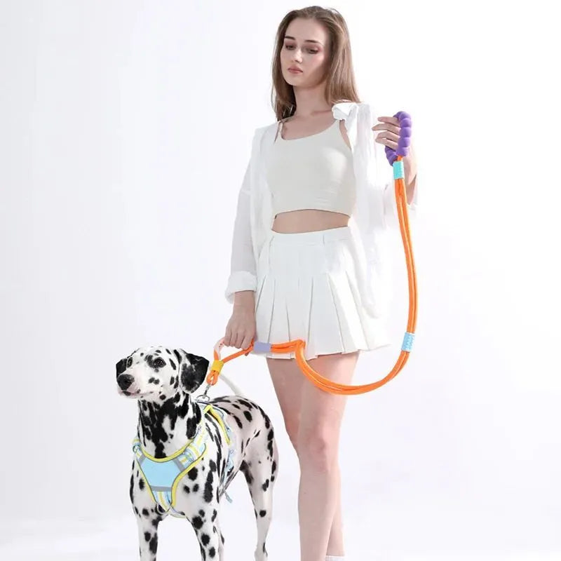 Nylon dog leash with foam handle in four colour options: black, light purple, sky blue, yellow.