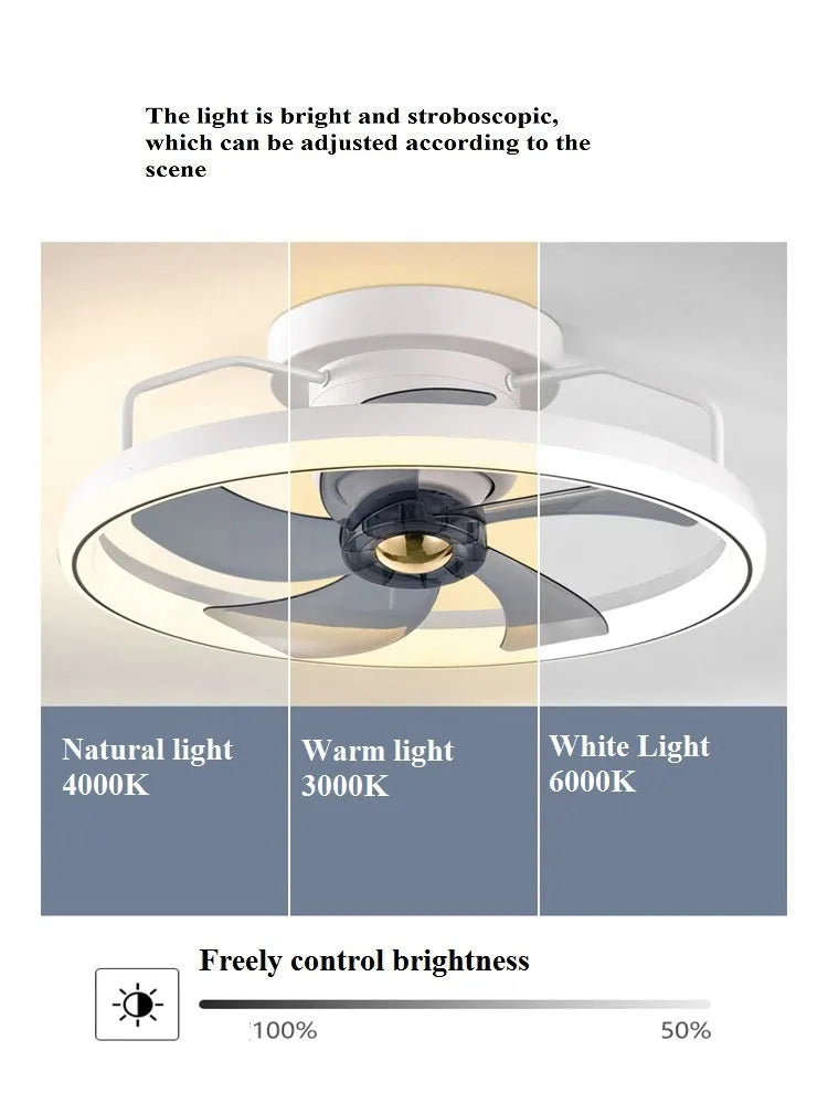 Modern simple style ceiling fan with integrated light in six colour options