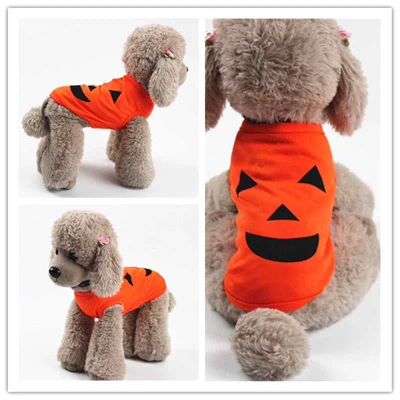 Halloween Pet Pumpkin Costume for cats and small to medium dogs in orange with smiley or grimace options