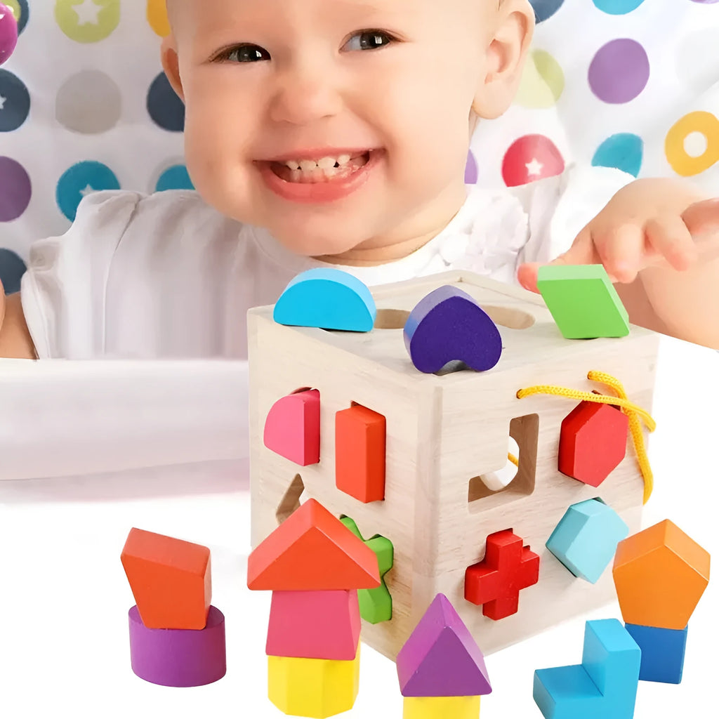 Wooden geometric shape matching building blocks with intelligence boxes for infants
