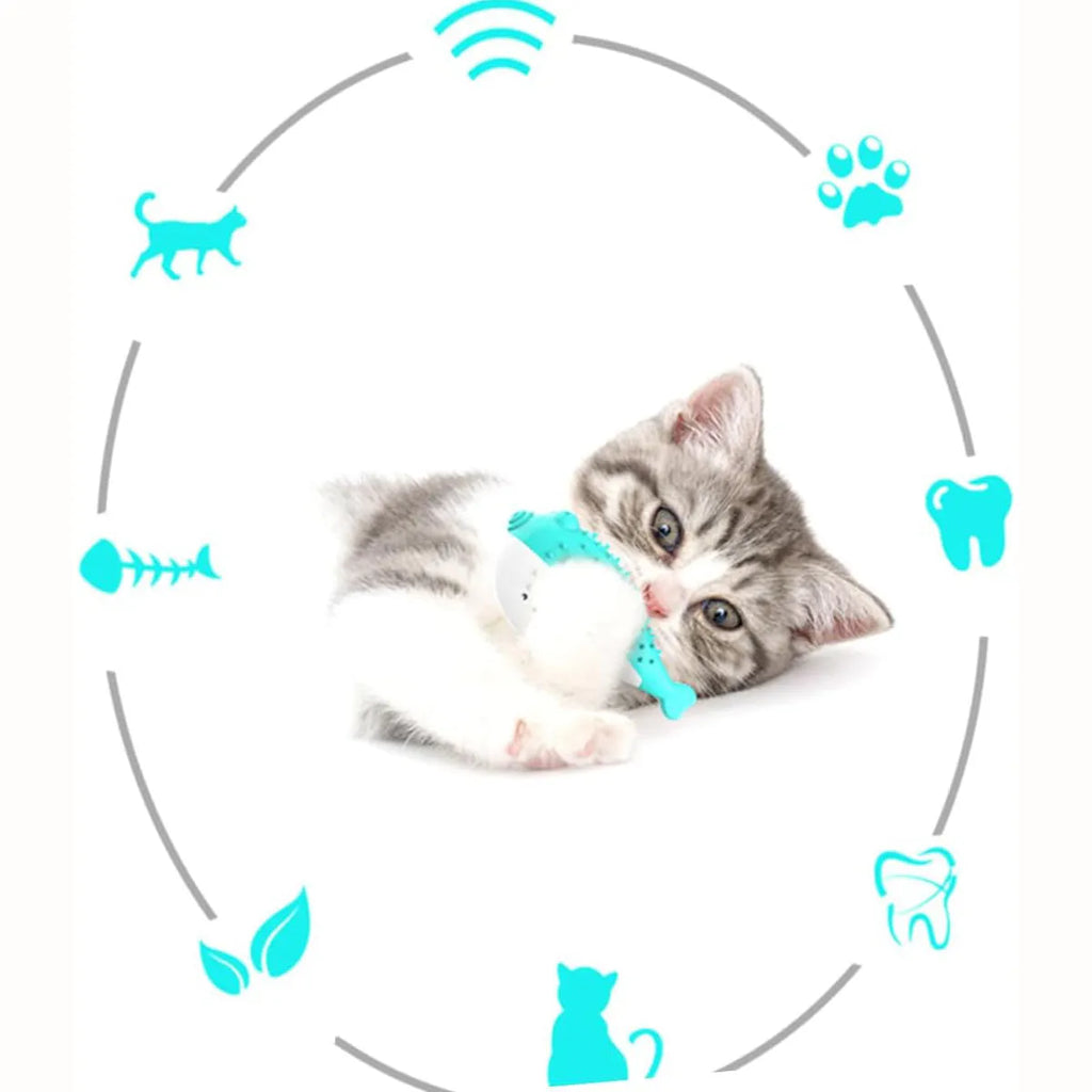 Blue silicone fish-shaped cat chew toy showing measurements and fish design details