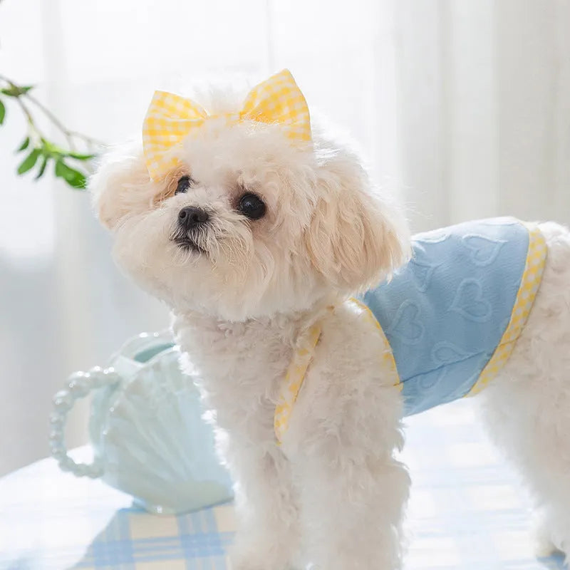 Small dog wearing a blue vest with a raised heart texture and bow suspenders on the front.