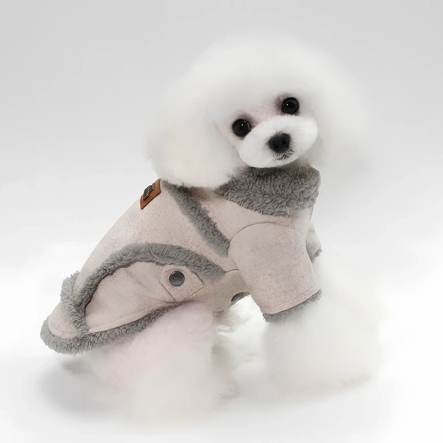 Thick warm velvet jacket for French Bulldog in dark grey, size L with 32cm back length