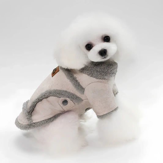 Thick warm velvet jacket for French Bulldog in dark grey, size L with 32cm back length