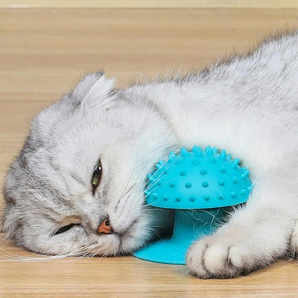 Blue cat self groomer mounted on wall with brush head and cat mint compartment
