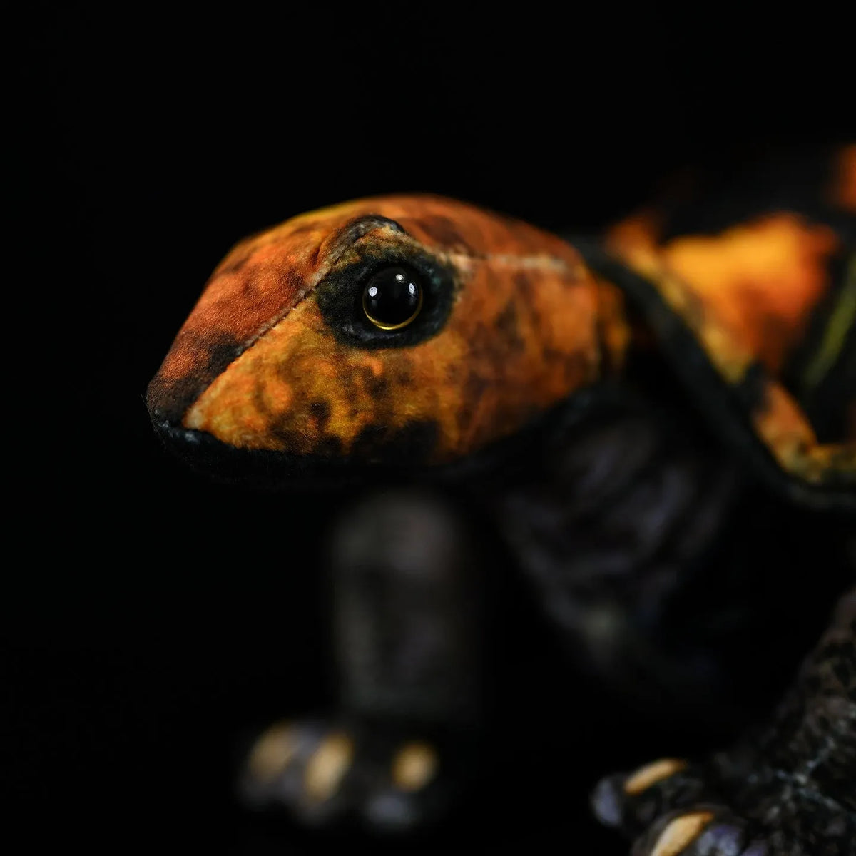 Coffee-coloured Japanese stone turtle plush toy 32cm from mouth to tail on neutral background