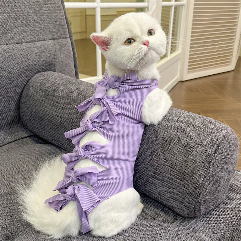Adjustable lace-up polyester recovery suit for a cat after spaying surgery, shown in blue.