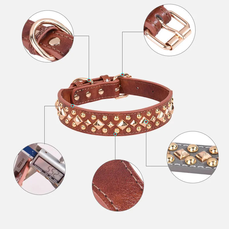 Rivet leather dog collar with golden rivet decoration in retro style, shown in black colour on a plain background