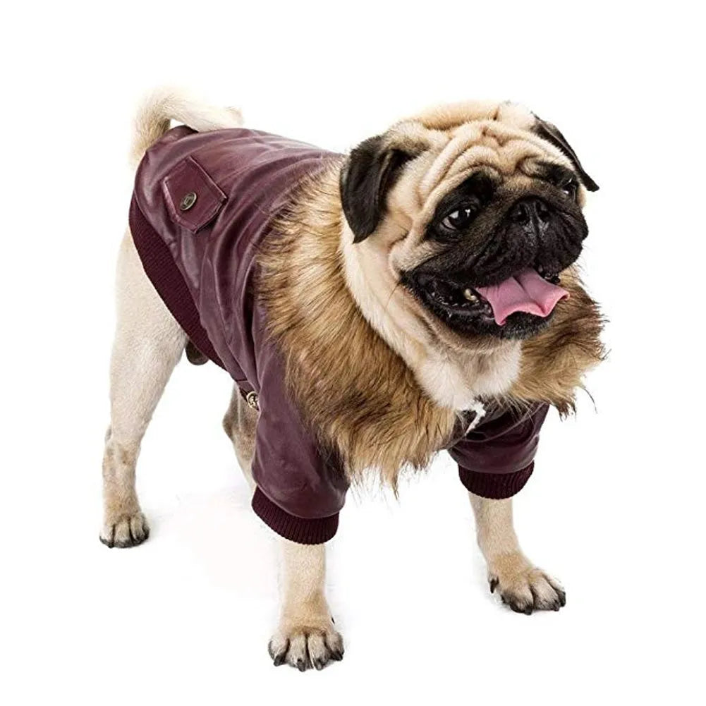 Dog wearing a wine red PU leather coat with faux fur collar and double pockets