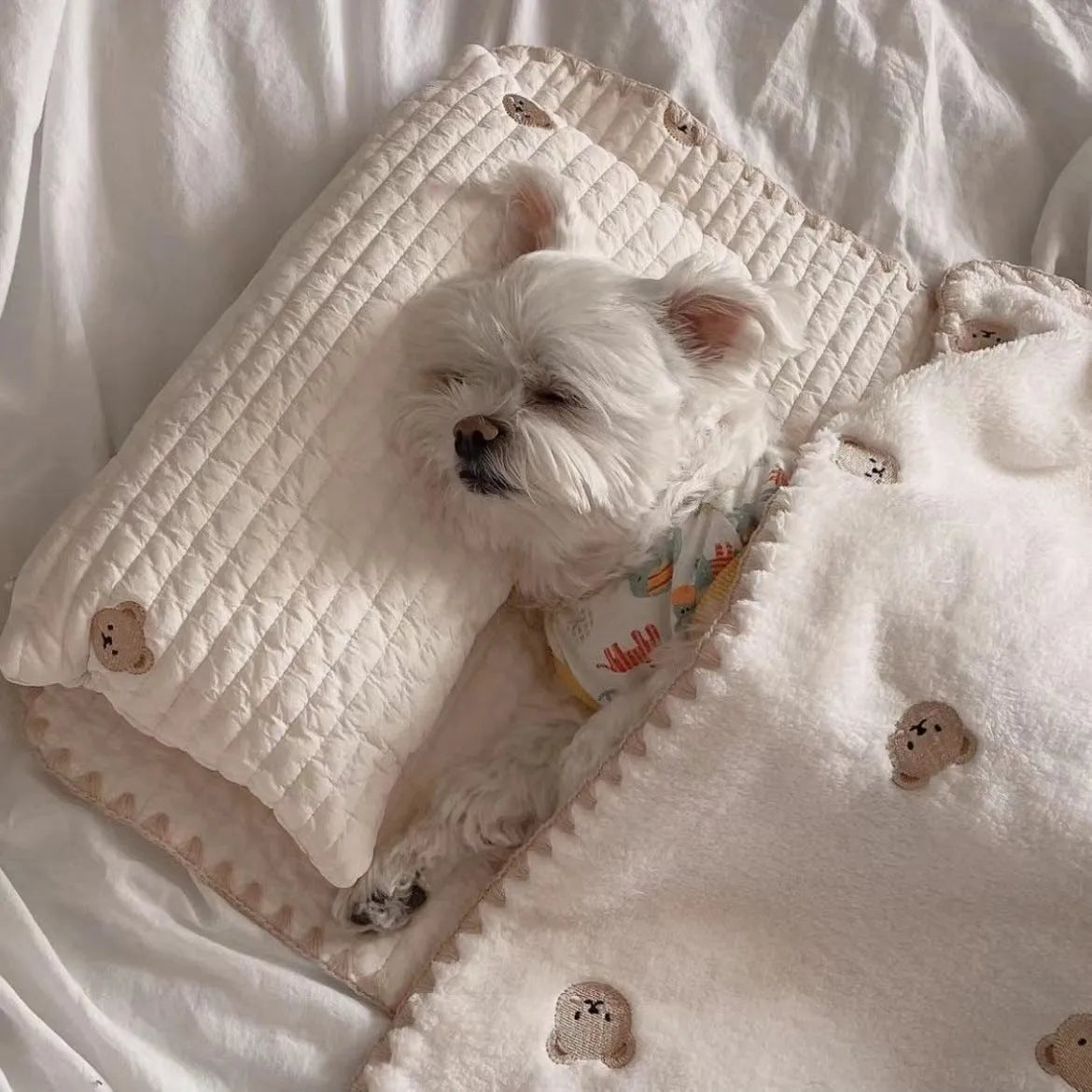 Square removable washable dog bed set with pillow, mattress, and comforter in simple bear design.