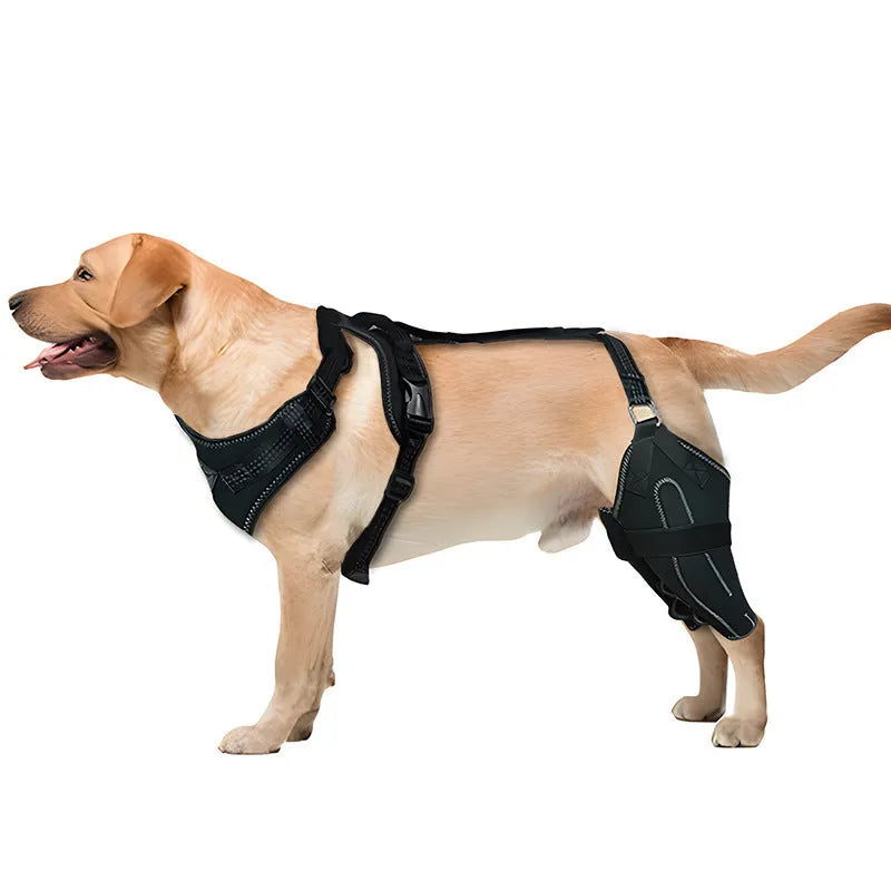 Black adjustable dog thigh protective sleeve with metal support for postoperative care.