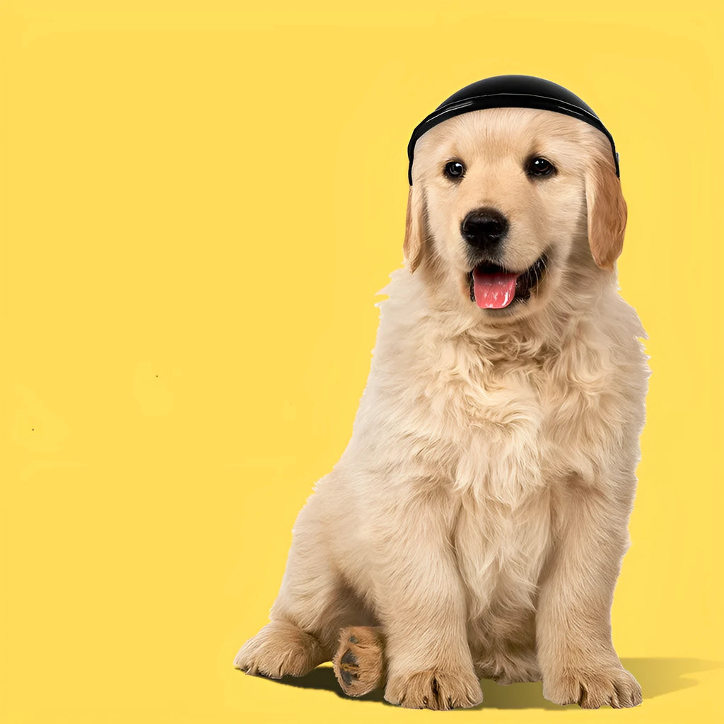 Small S size plastic pet motorcycle helmet in pink, black, yellow or green colour