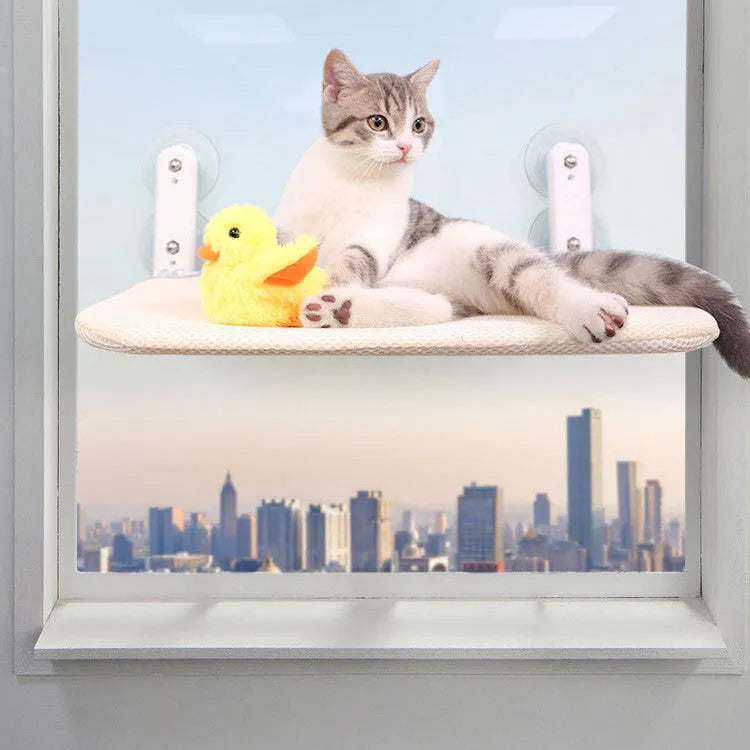 Stainless steel cat window hammock with suction cups attached to glass