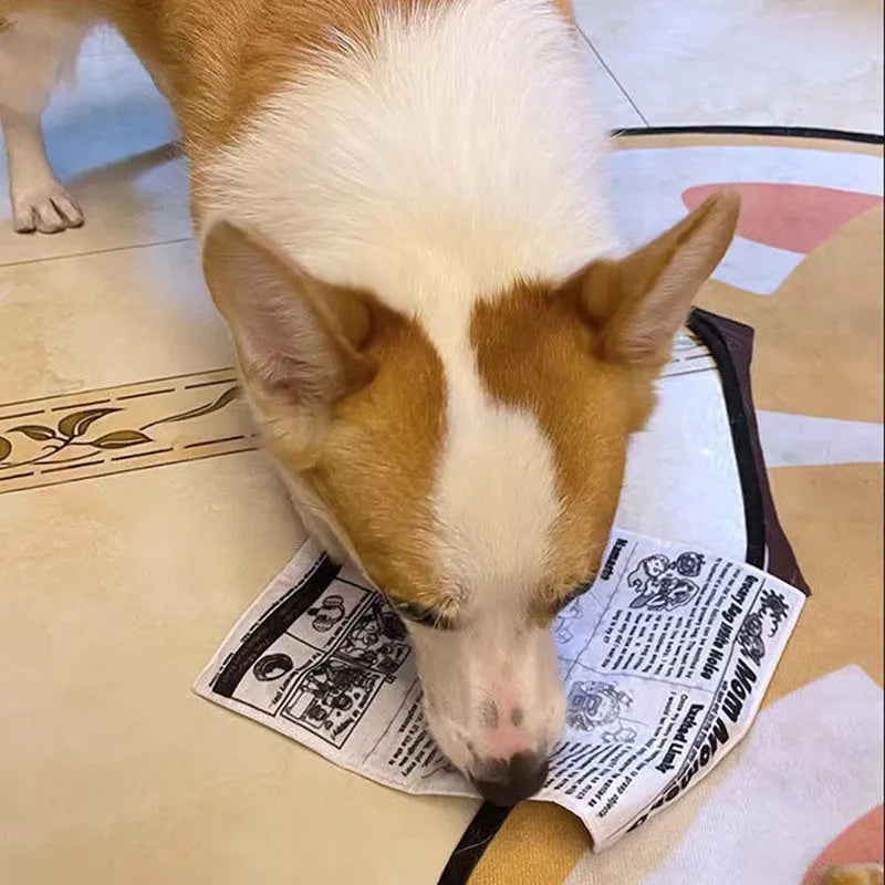 Tearproof pet dog toy with simulated squeaking newspaper playing cards for interactive play