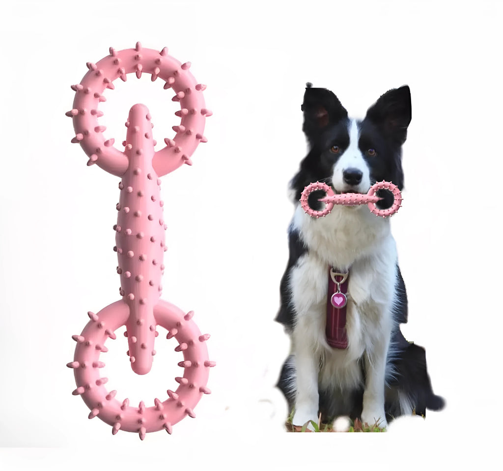 Blue TPR dog chew toy ring measuring 16cm diameter for puppy teething and safe chewing