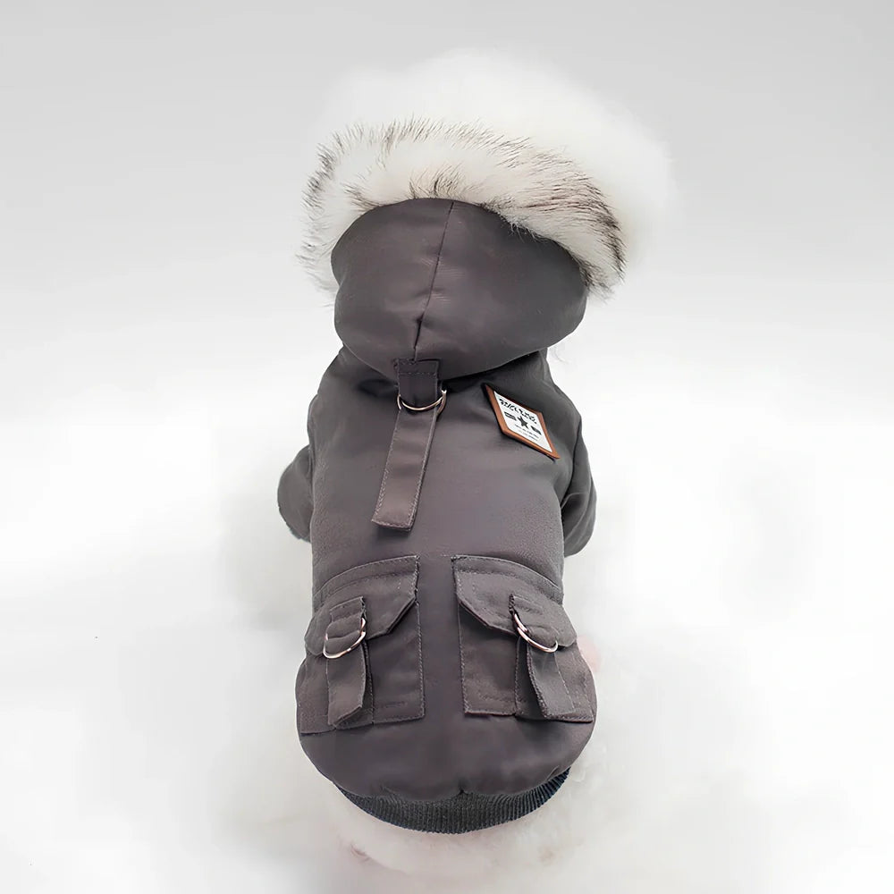Grey cap dog coat hoodie on small breed like Chihuahua, warm wool blend for autumn winter, sizes S-XXL available
