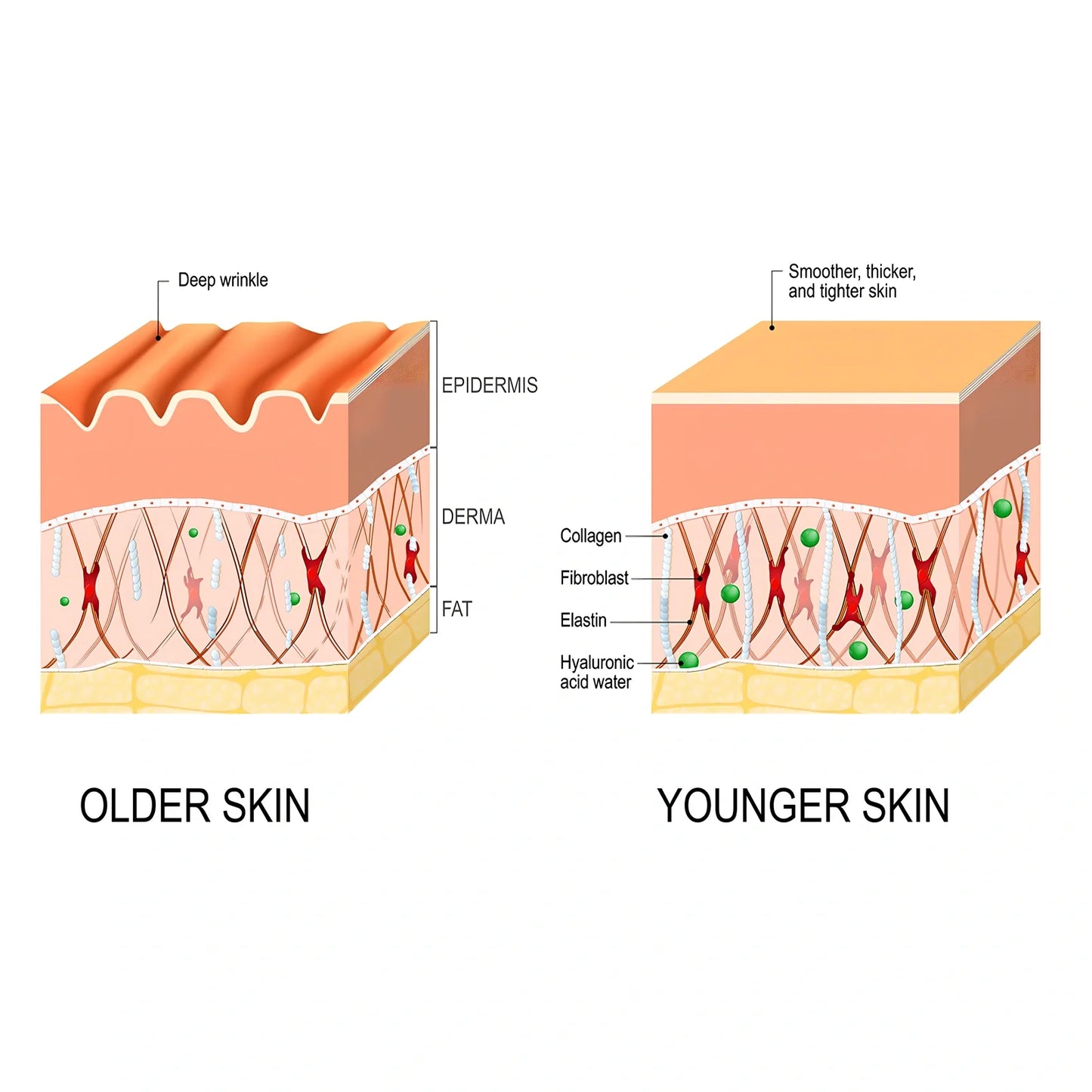 30ml anti-wrinkle essence bottle, 3.2cm x 8.3cm, with hyaluronic acid for fine line fading and skin firming