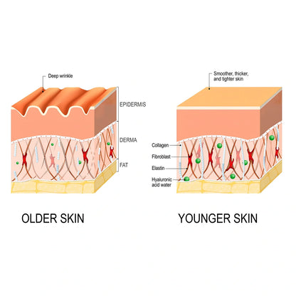 30ml anti-wrinkle essence bottle, 3.2cm x 8.3cm, with hyaluronic acid for fine line fading and skin firming