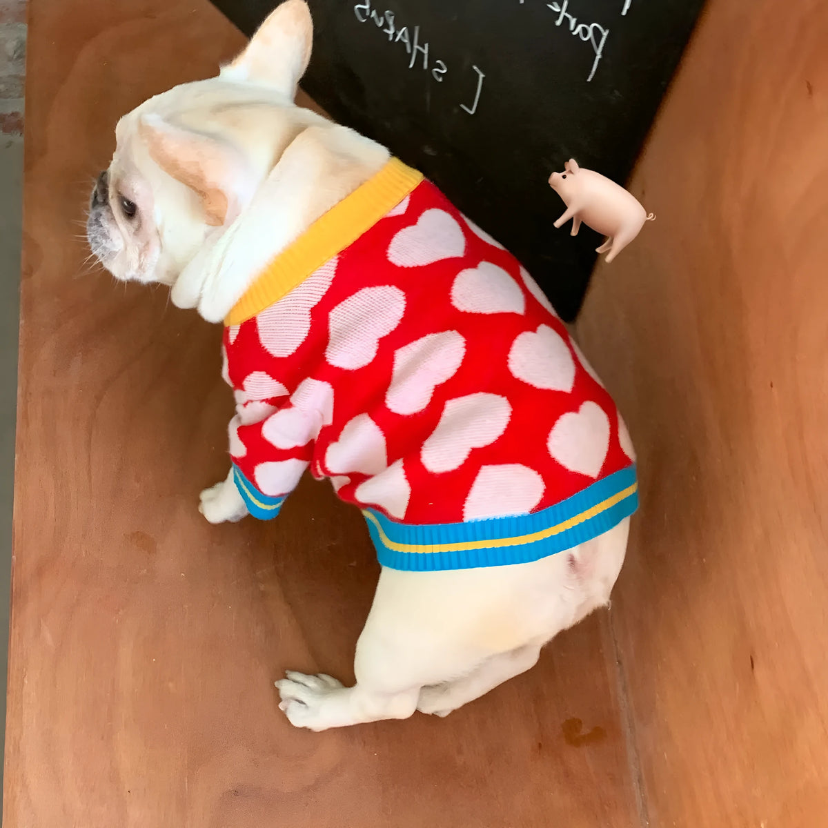 Red heart pet dog coat with attached scarf, autumn winter casual style, five sizes from S to XXL