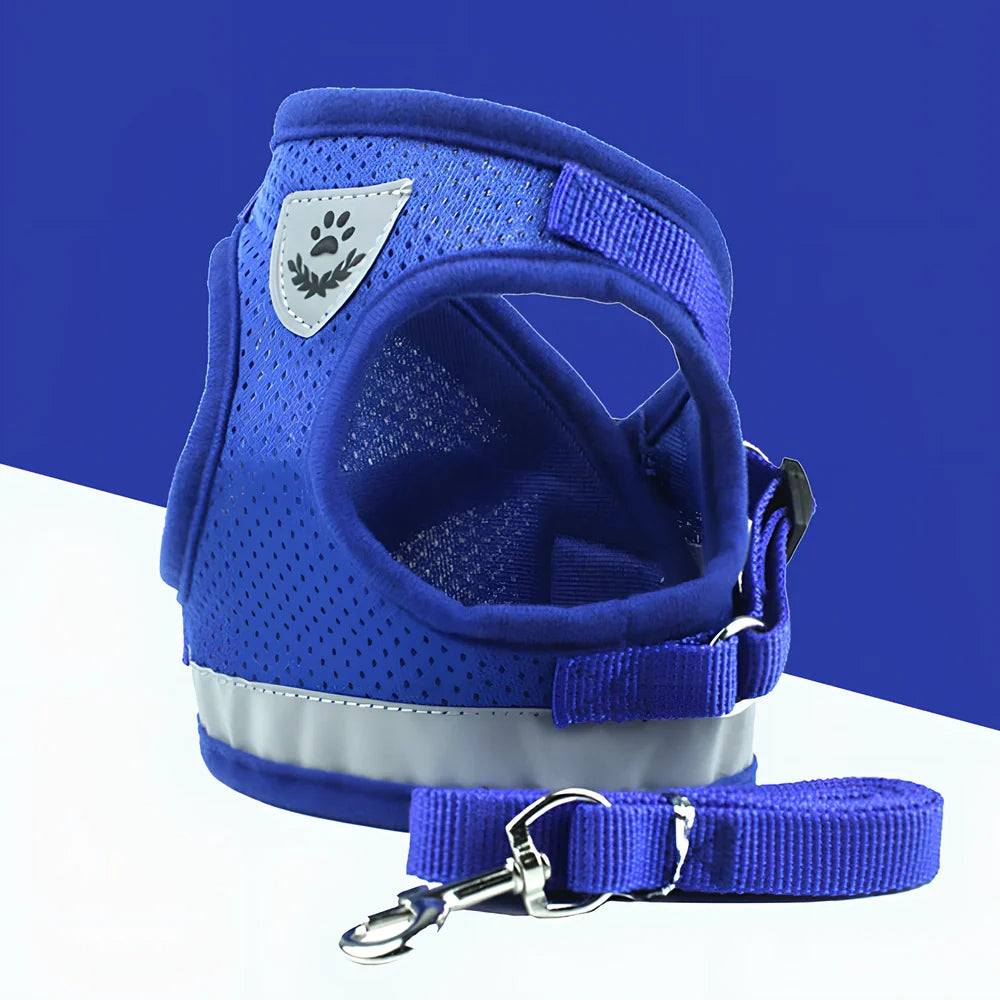 Blue breathable mesh pet harness with reflective belt, adjustable for 1.5-10kg dogs, includes 120cm towing rope for safe walks