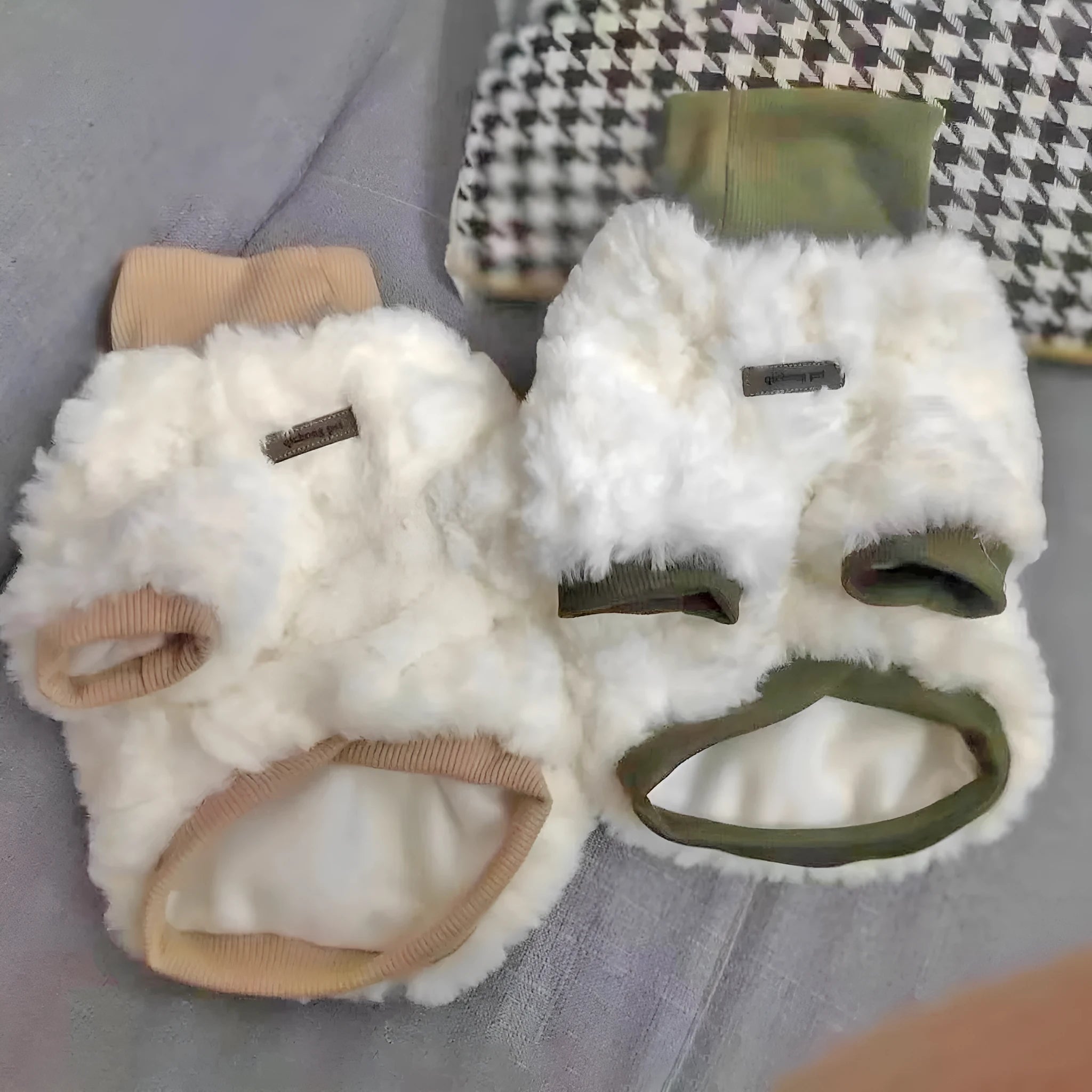 Creamy green turtleneck dog coat with high collar on small dog, showing plush cotton-padded construction