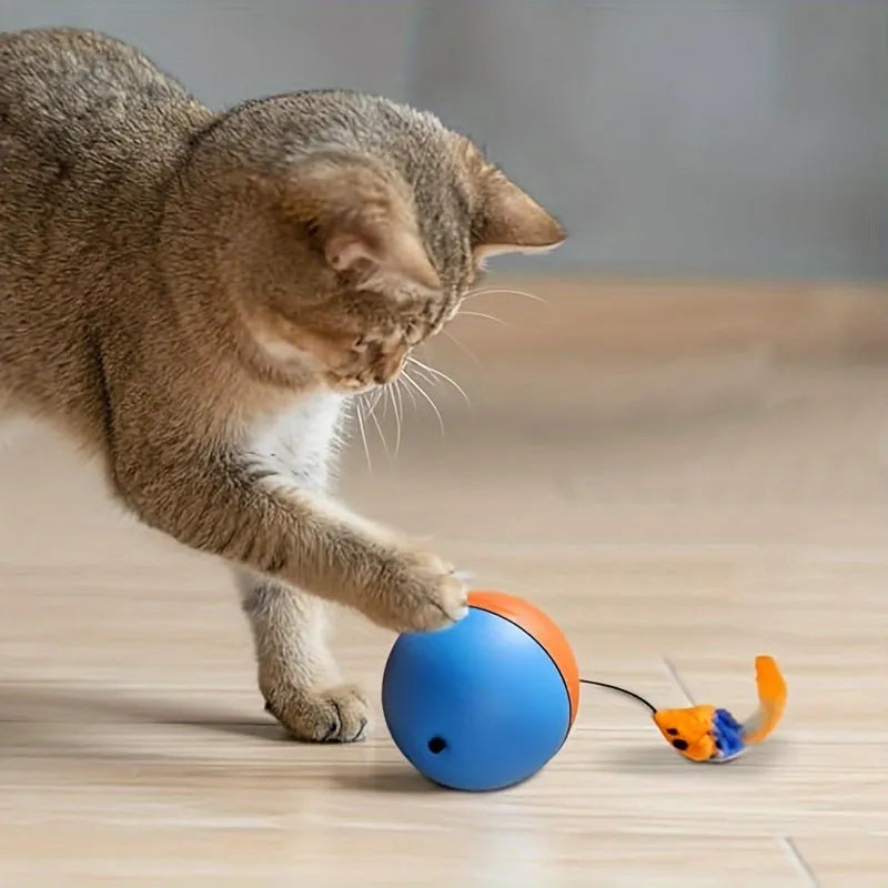 Blue and orange interactive cat toy set with plush mouse and ball for indoor exercise