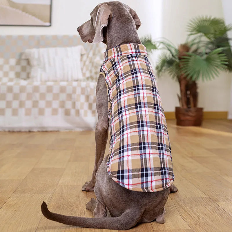 Winter pet dog jacket heavy cotton plaid with reflective webbing, green colour, on a small dog