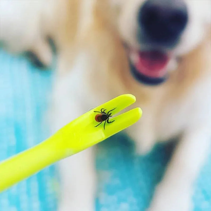 Three plastic tick removal clips for pets in blue and green colours