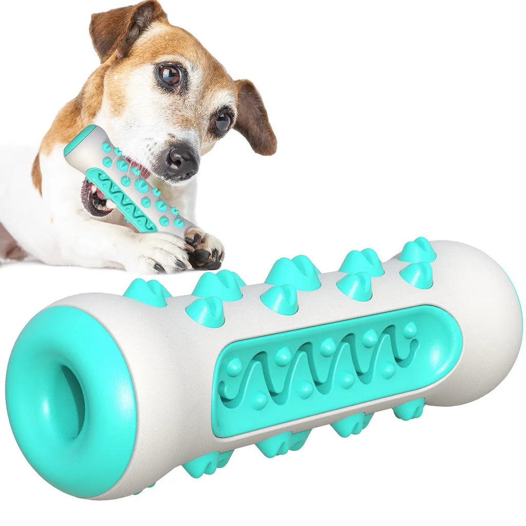 Natural rubber dog toothbrush chew toy with silicone cleaning bristles in multiple colour options