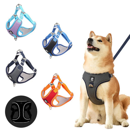 Adjustable breathable mesh dog harness with reflective piping in various colors