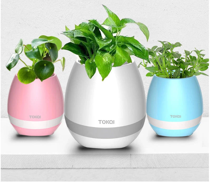 Touch-sensitive music vase desktop audio in pink, blue, and white