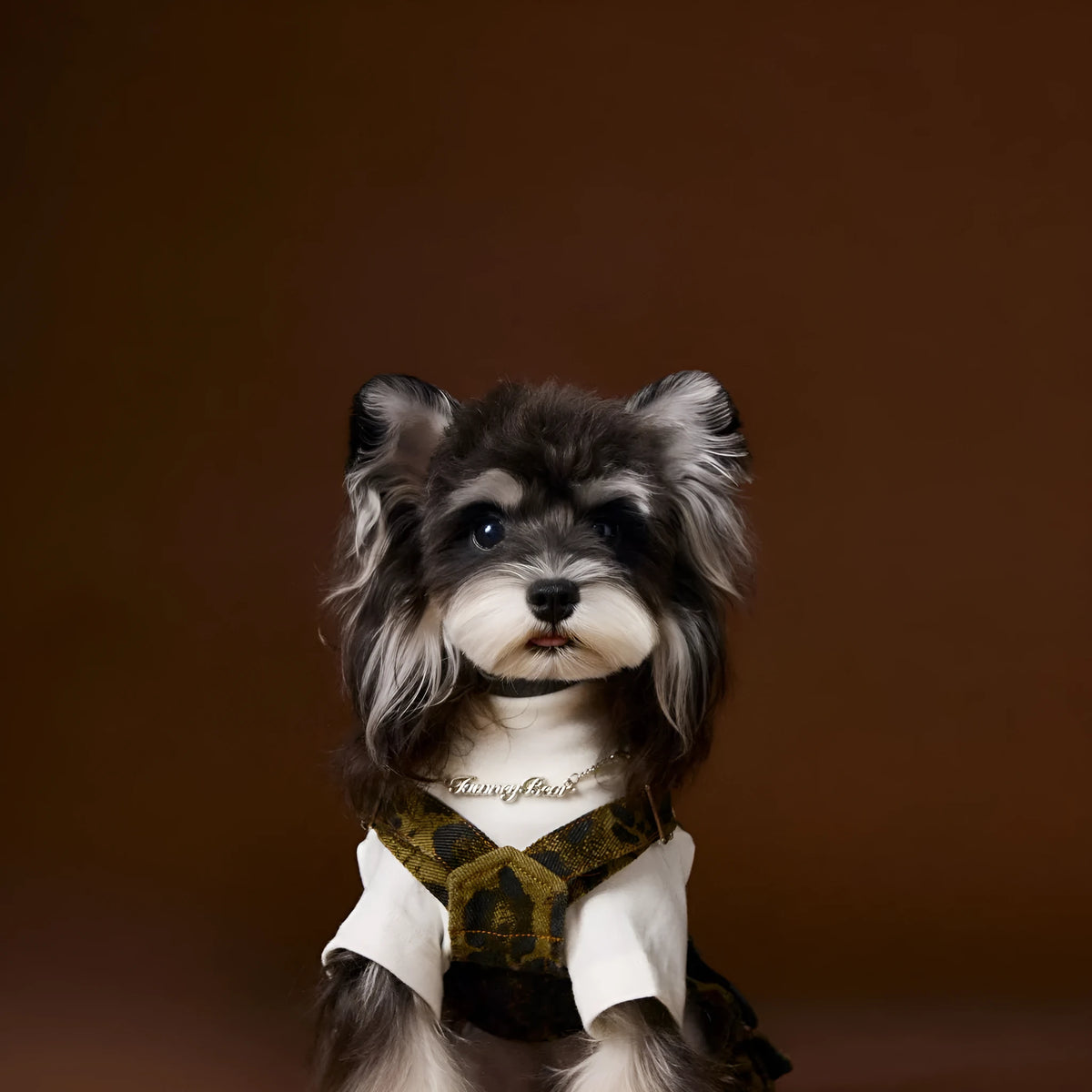 Leopard print cotton dog overalls with suspender style for autumn casual wear